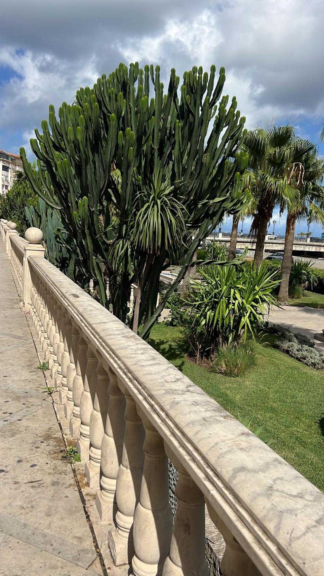 Ferienwohnung Les Terrasses De Malabata Tanger Exterior foto